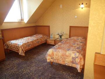 Фото номера Двухместный номер с 1 кроватью или 2 отдельными кроватями Отель Hotel Calisia г. Калиш 9