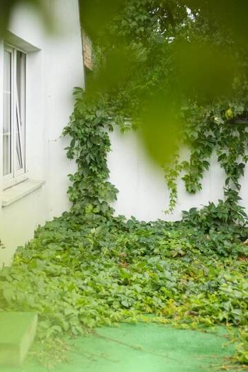 Фото номера Кровать в общем 8-местном номере для мужчин и женщин Хостелы Magic Garden Hostel г. Калиш 13