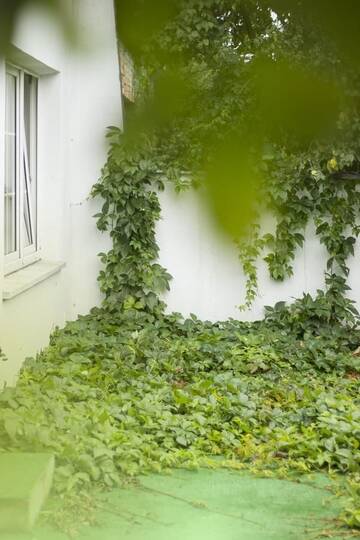 Фотографии Хостелы Magic Garden Hostel г. Калиш (Польша) №2 Фото Хостелы Magic Garden Hostel г. Калиш 2
